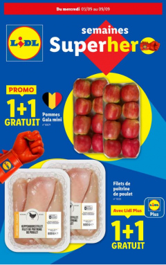 Catalogue 