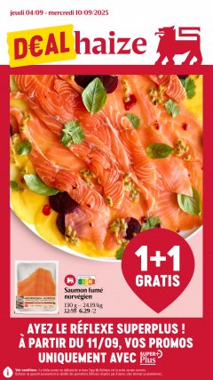 Delhaize